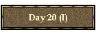 Day 20 (I)
