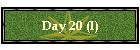 Day 20 (I)