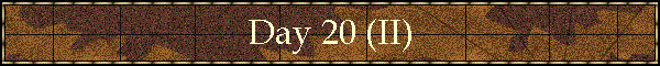 Day 20 (II)