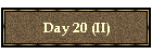 Day 20 (II)