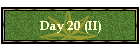 Day 20 (II)