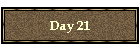 Day 21