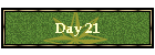 Day 21