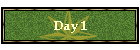 Day 1