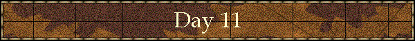 Day 11