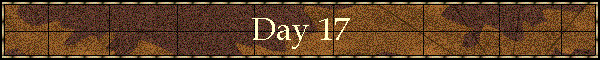 Day 17