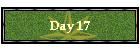 Day 17