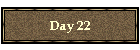 Day 22