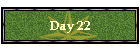 Day 22
