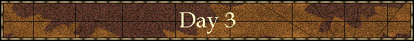 Day 3
