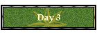 Day 3
