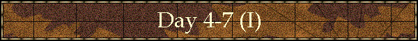 Day 4-7 (I)