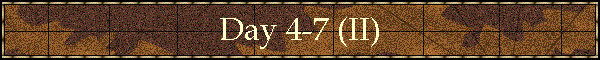 Day 4-7 (II)