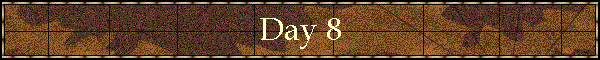Day 8
