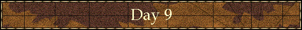 Day 9