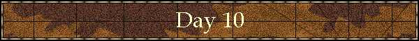 Day 10
