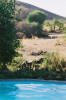 Hobatere Lodge