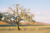 Sossusvlei