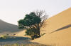 Sossusvlei