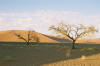 Sossusvlei