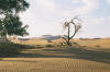 Sossusvlei