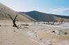 Dead vlei