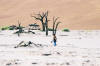 Sossusvlei