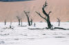 Sossusvlei