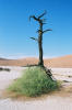 Sossusvlei