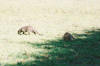 Etosha