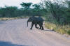 Etosha