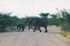 Etosha