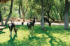 Mokuti Lodge
