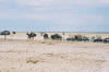 Etosha
