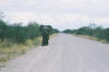 Etosha