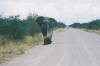 Etosha