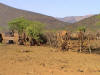 Himba settelement
