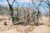 Himba settelement