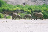 Hoanib River