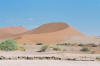 Sossusvlei